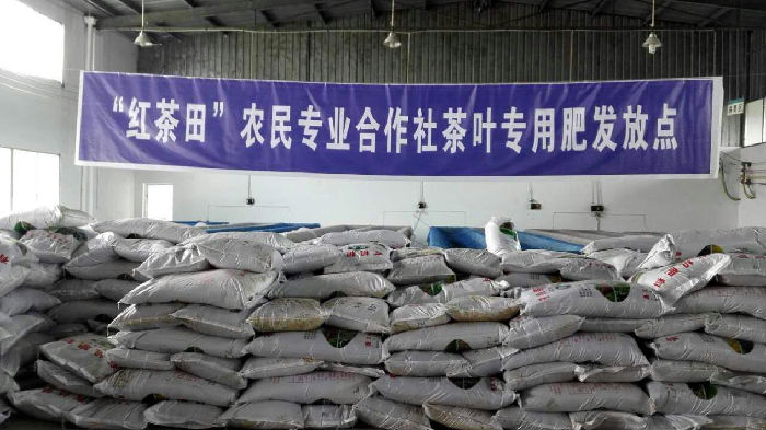 “红茶田”合作社统一发放茶叶专用肥